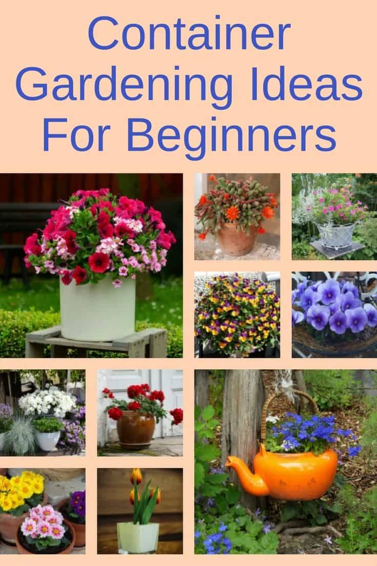 Diy Gardening Hacks Ideas