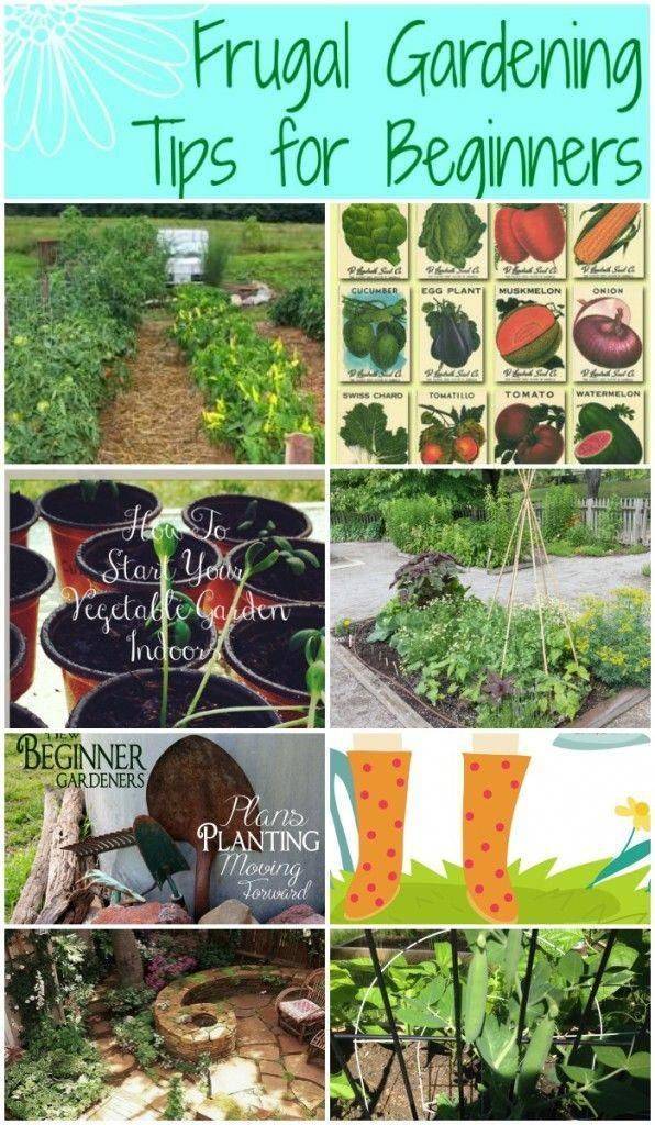 Frugal Gardening Tricks