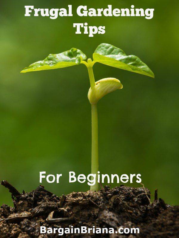 Frugal Gardening Tricks