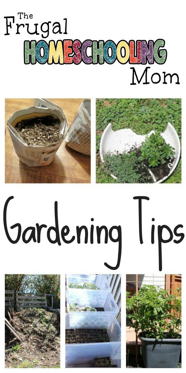 Frugal Gardening Tips