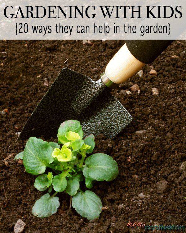 Frugal Gardening Tips