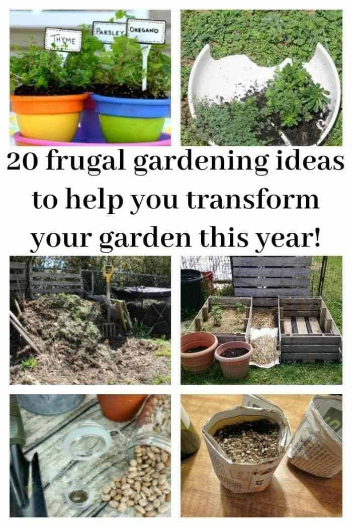 Frugal Gardening Tips