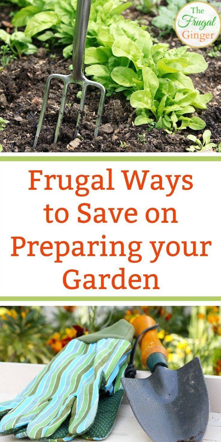 Frugal Gardening Tips