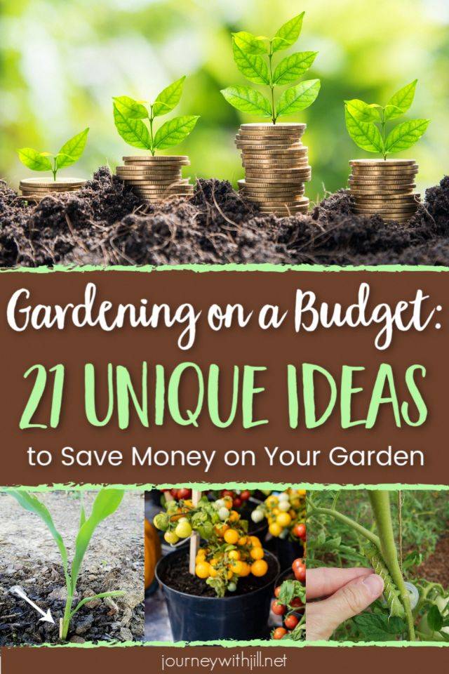 Frugal Gardening Tips