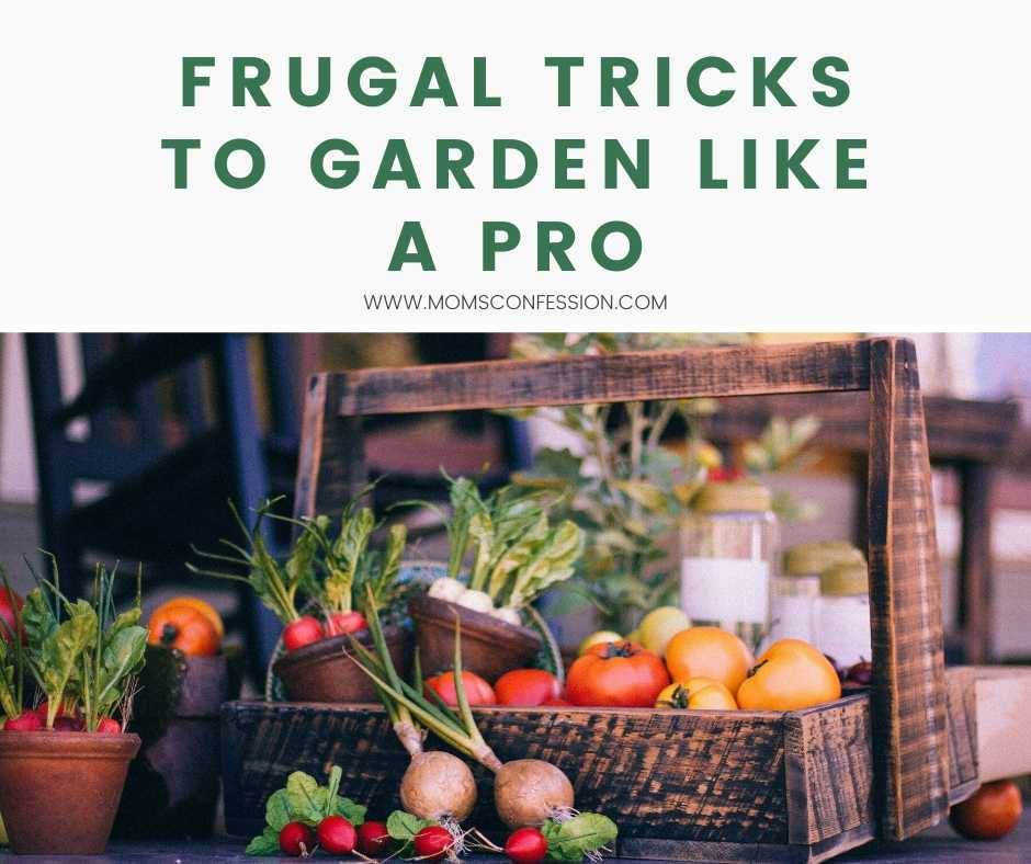 Frugal Gardening Tips