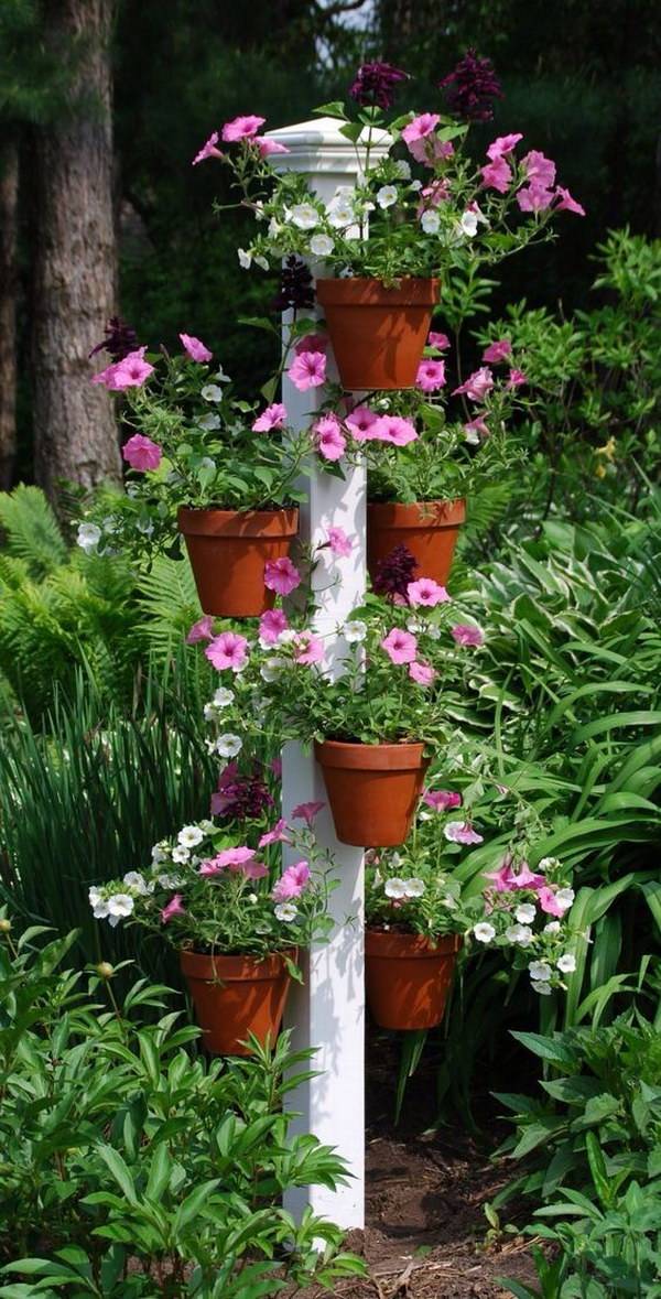 Creative Vegetable Garden Ideas