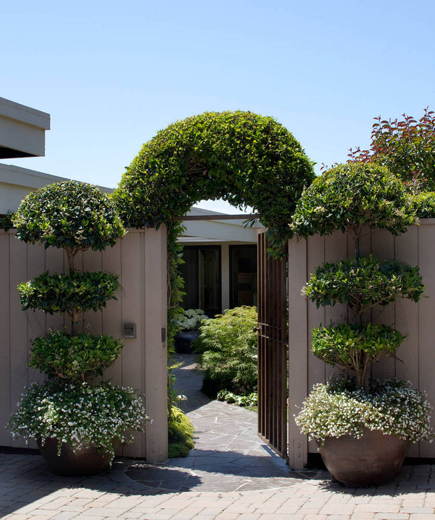 The Best Vertical Garden Ideas