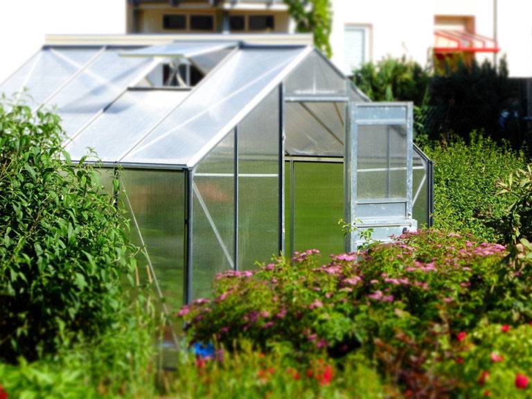 Greenhouse Gardening