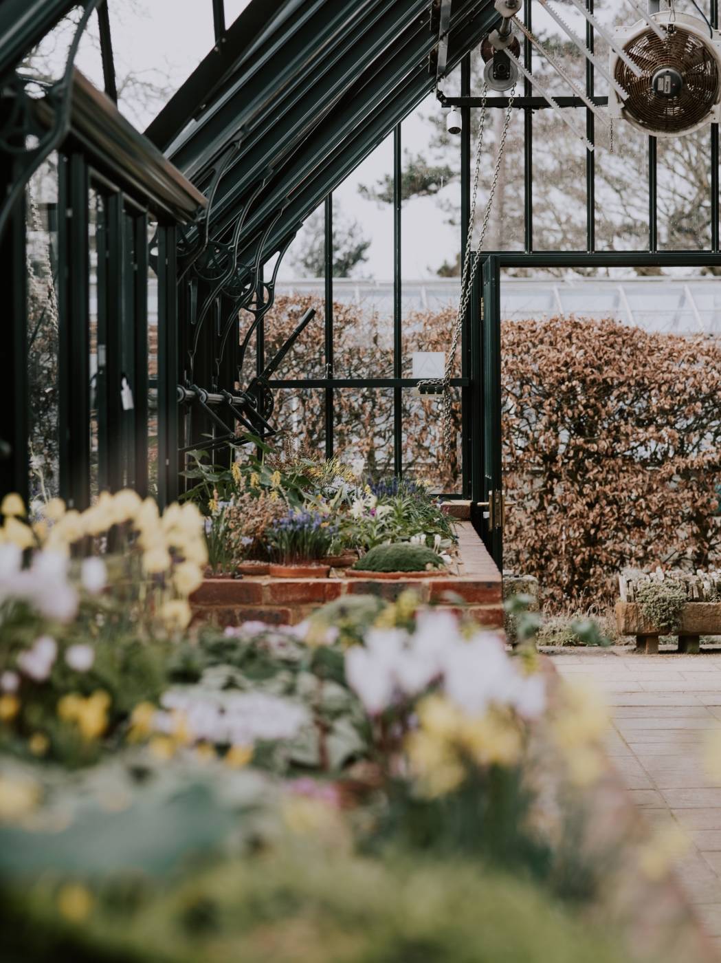 Beginners Gardening Fever Greenhouse