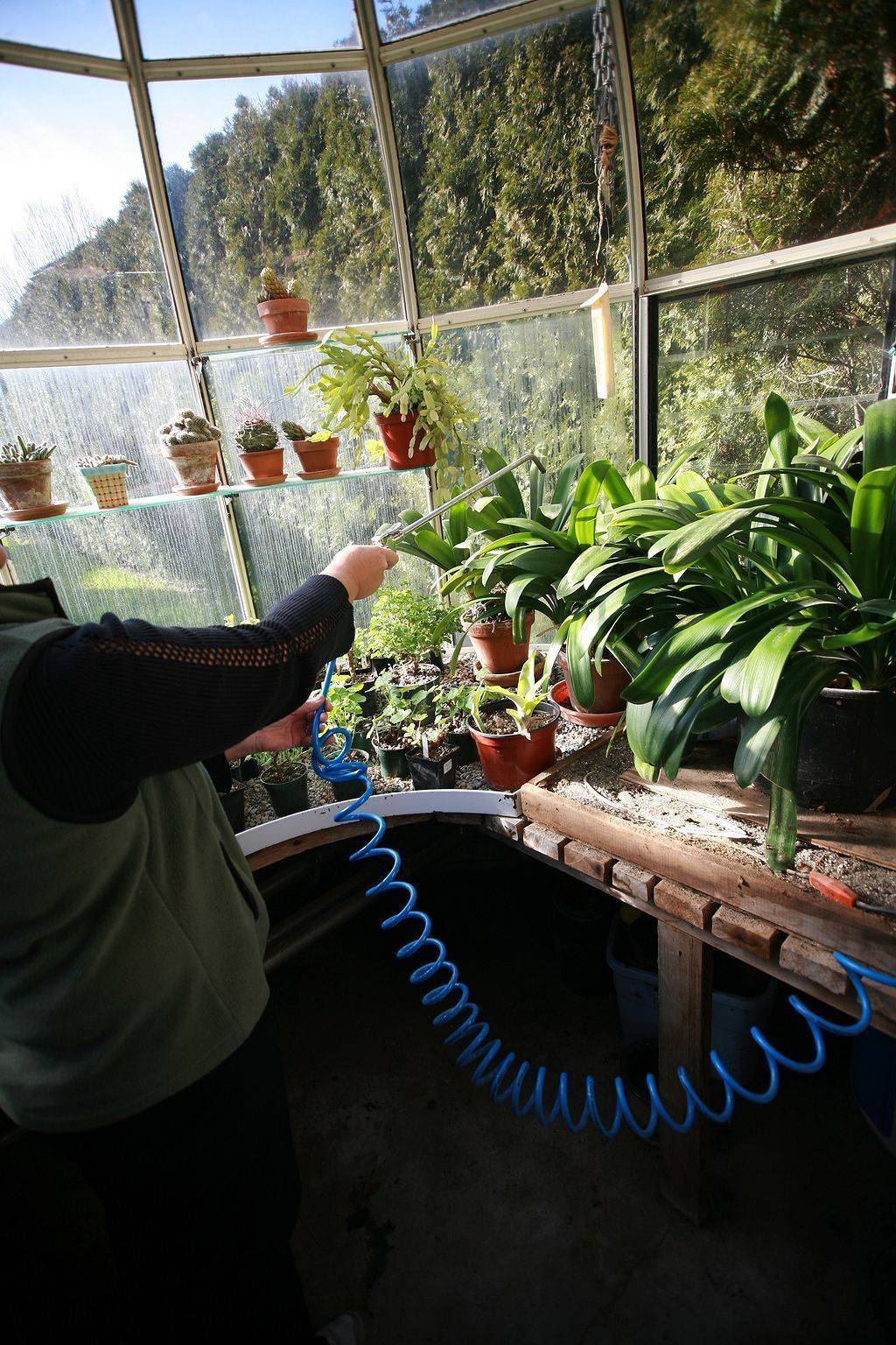 Greenhouse Gardening