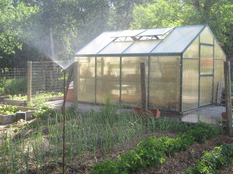 Your First Greenhouse