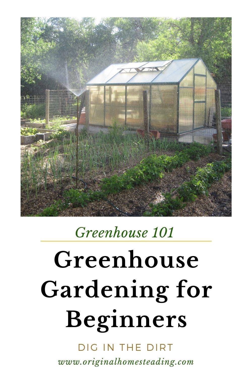 Greenhouse Gardening For Beginners Where Do I Start
