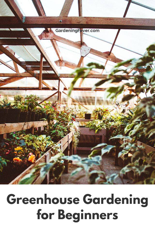 Greenhouse Gardening