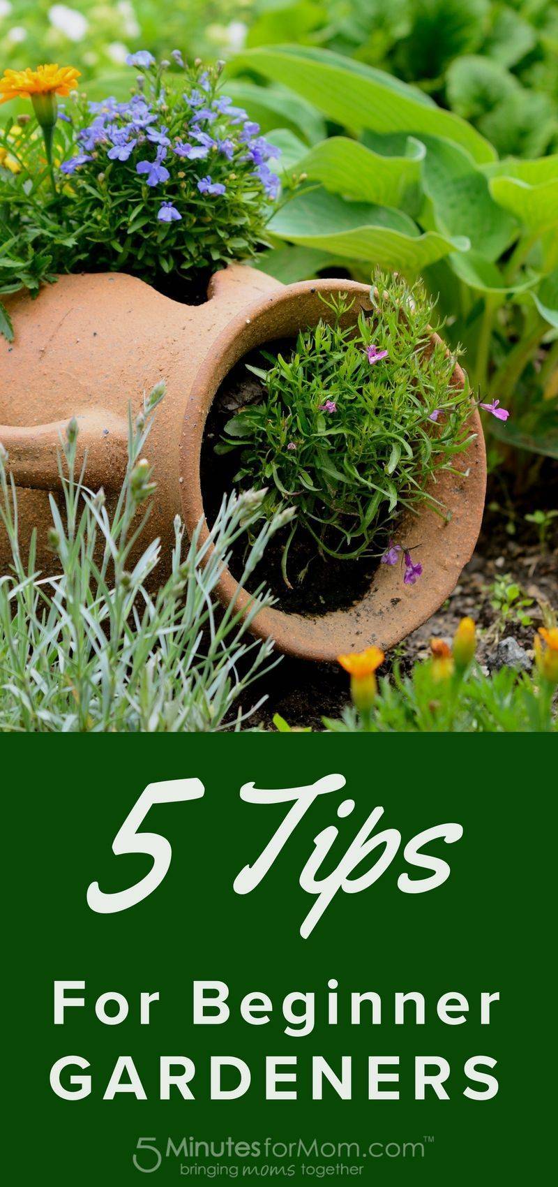Landscape Design Tips