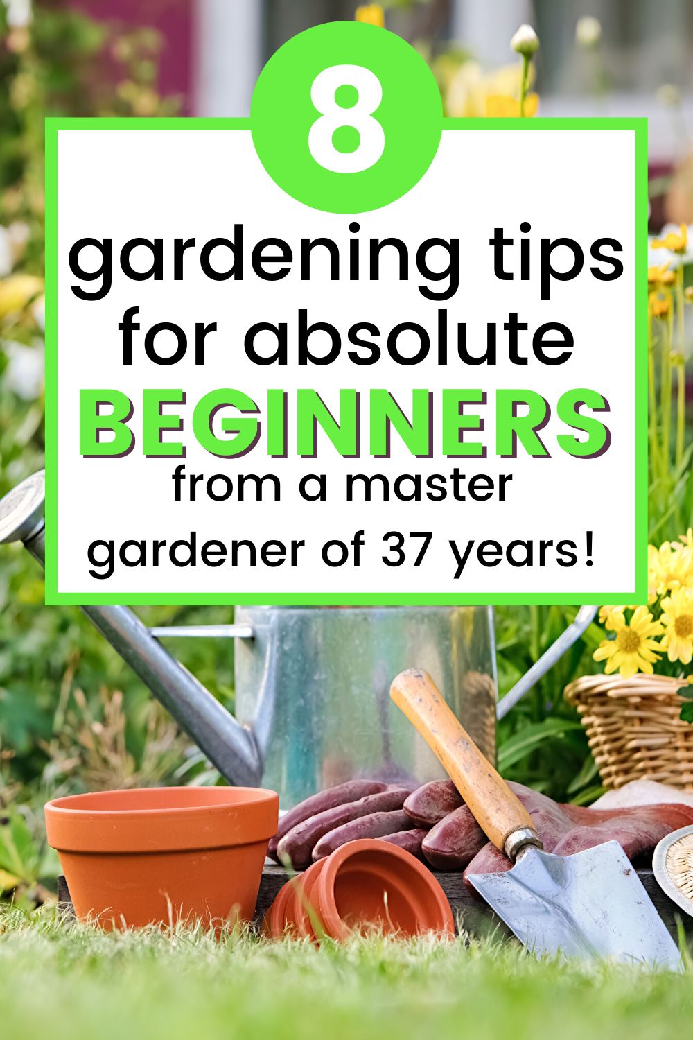 Beginner Gardeners