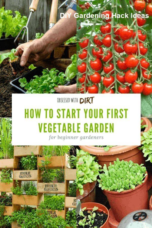 A Beginners Guide