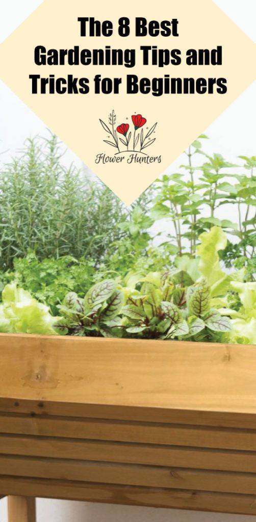 Diy Gardening Hacks Ideas