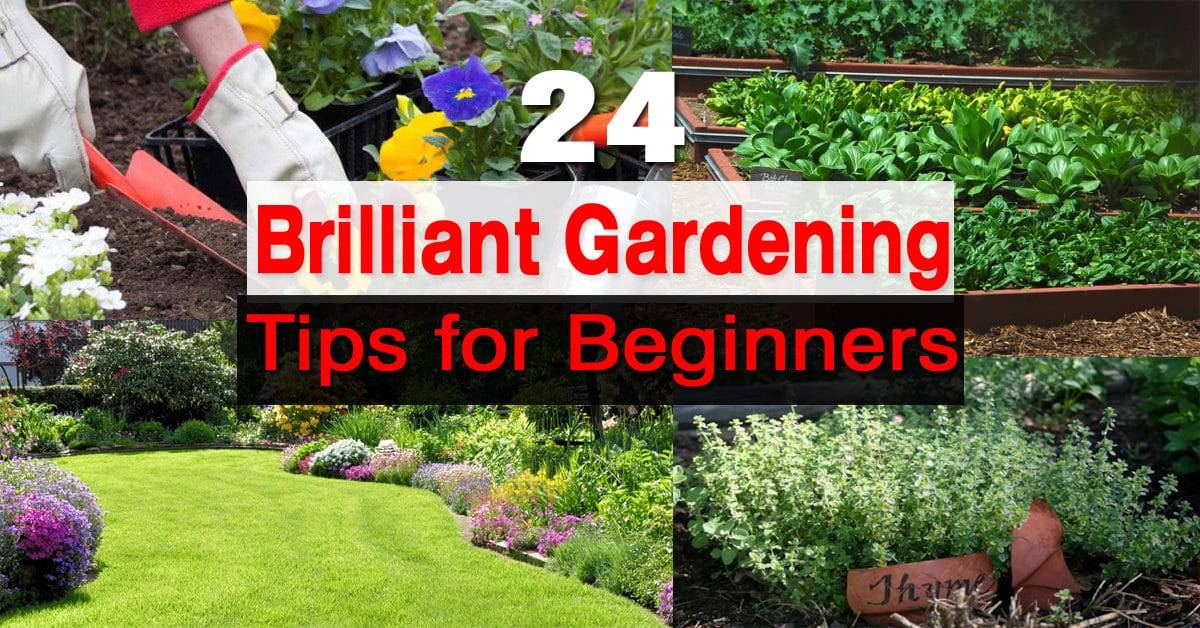 Flower Gardening