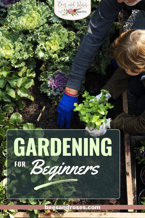 Vegetable Garden