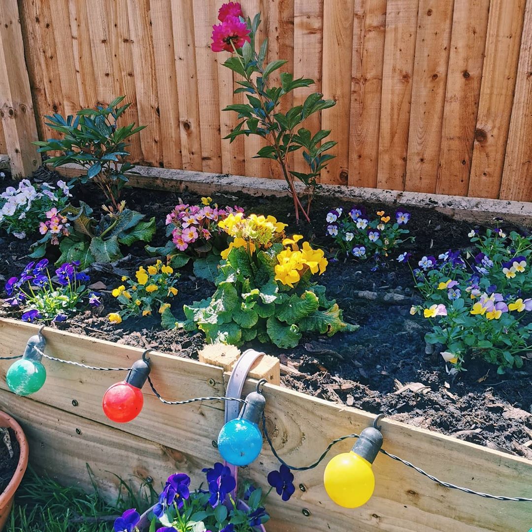 A Beautiful Raised Bed Vegetable Garden