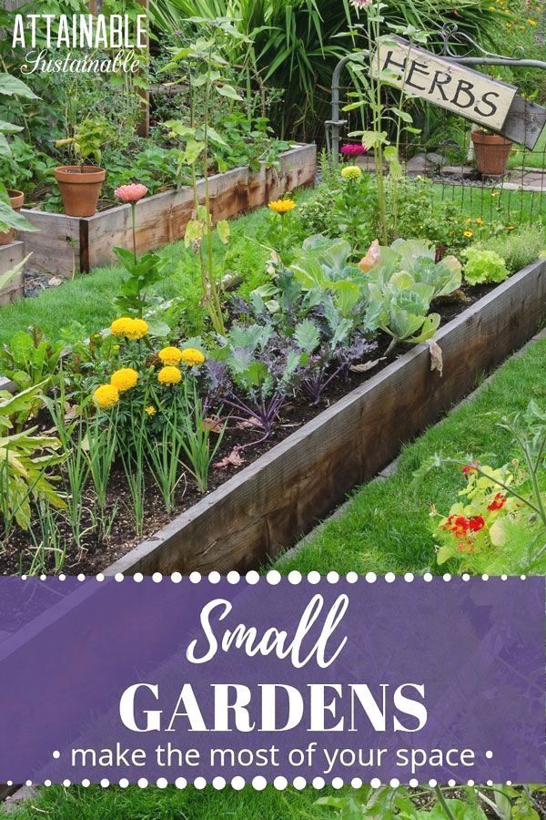 Vegetable Garden Designs