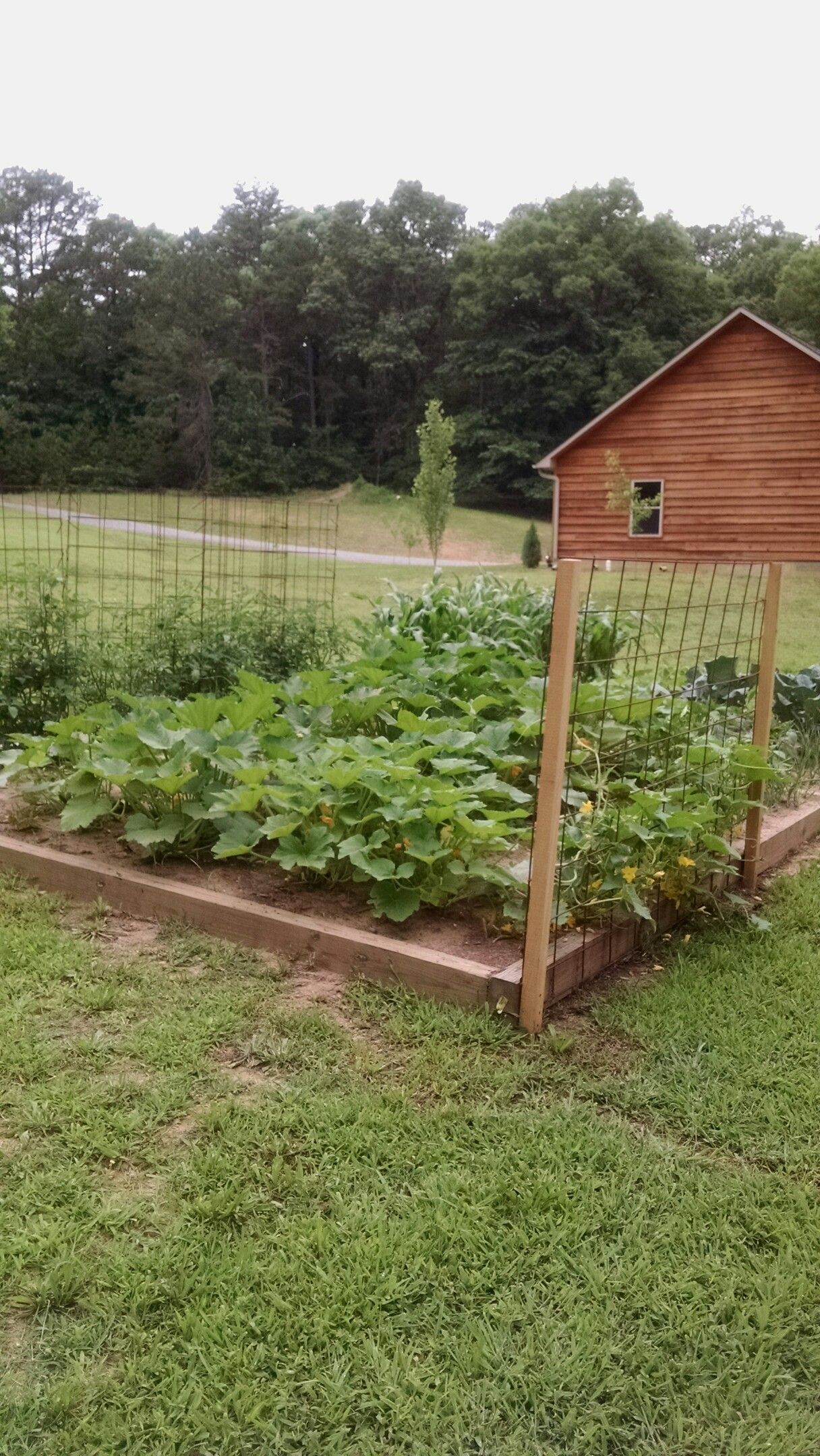 Scratch A Full Guide Gardening Tips