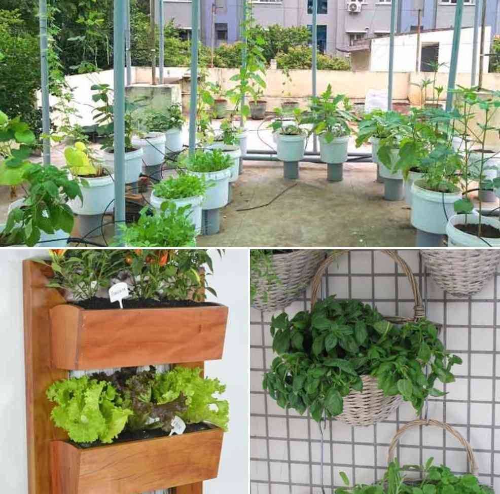 Insanely Clever Gardening Tips And Ideas Shtf Prepping