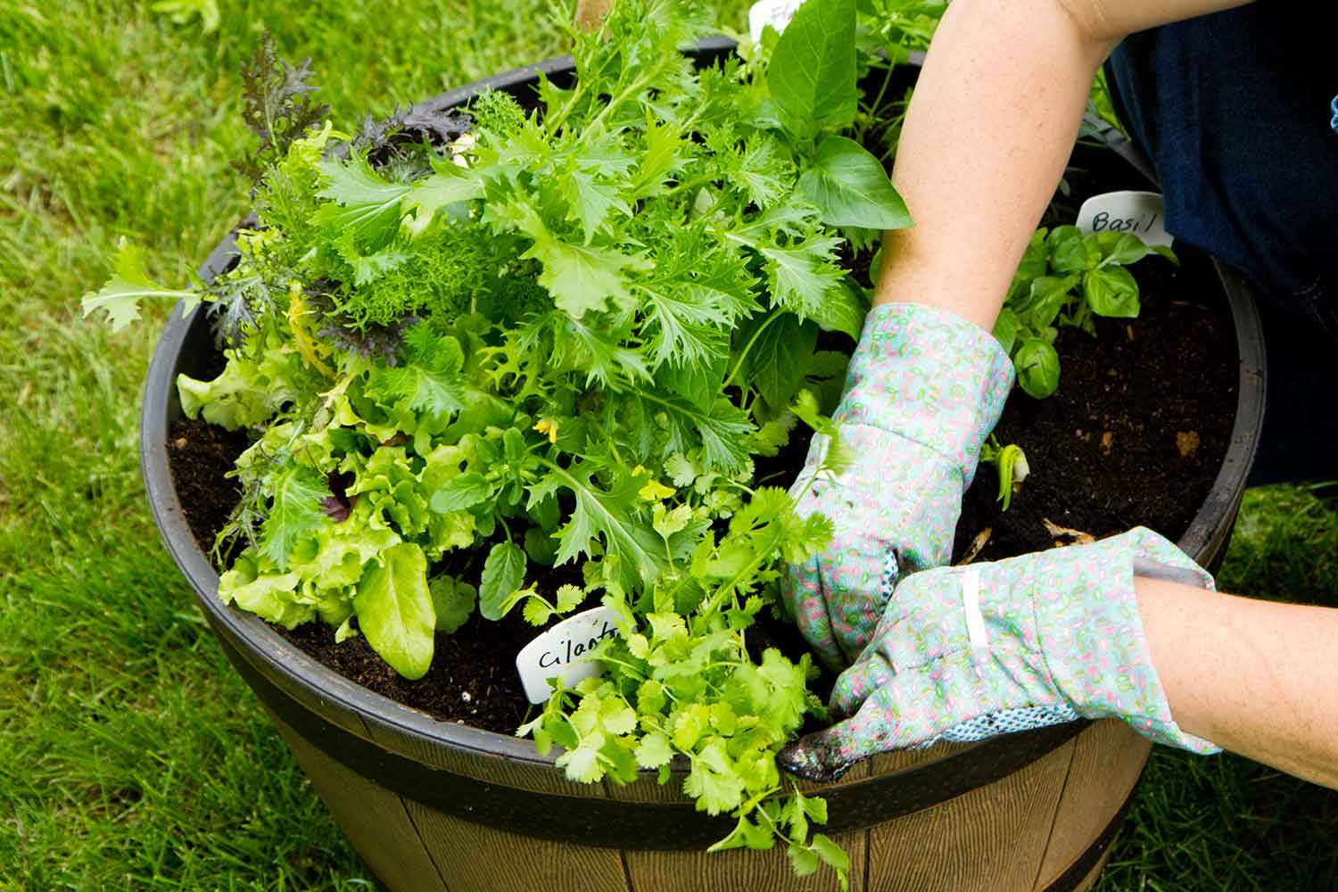 Tips Diy Craft Projects