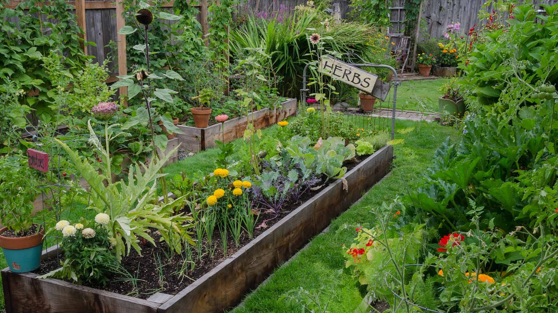 A Garden Gardening Tips