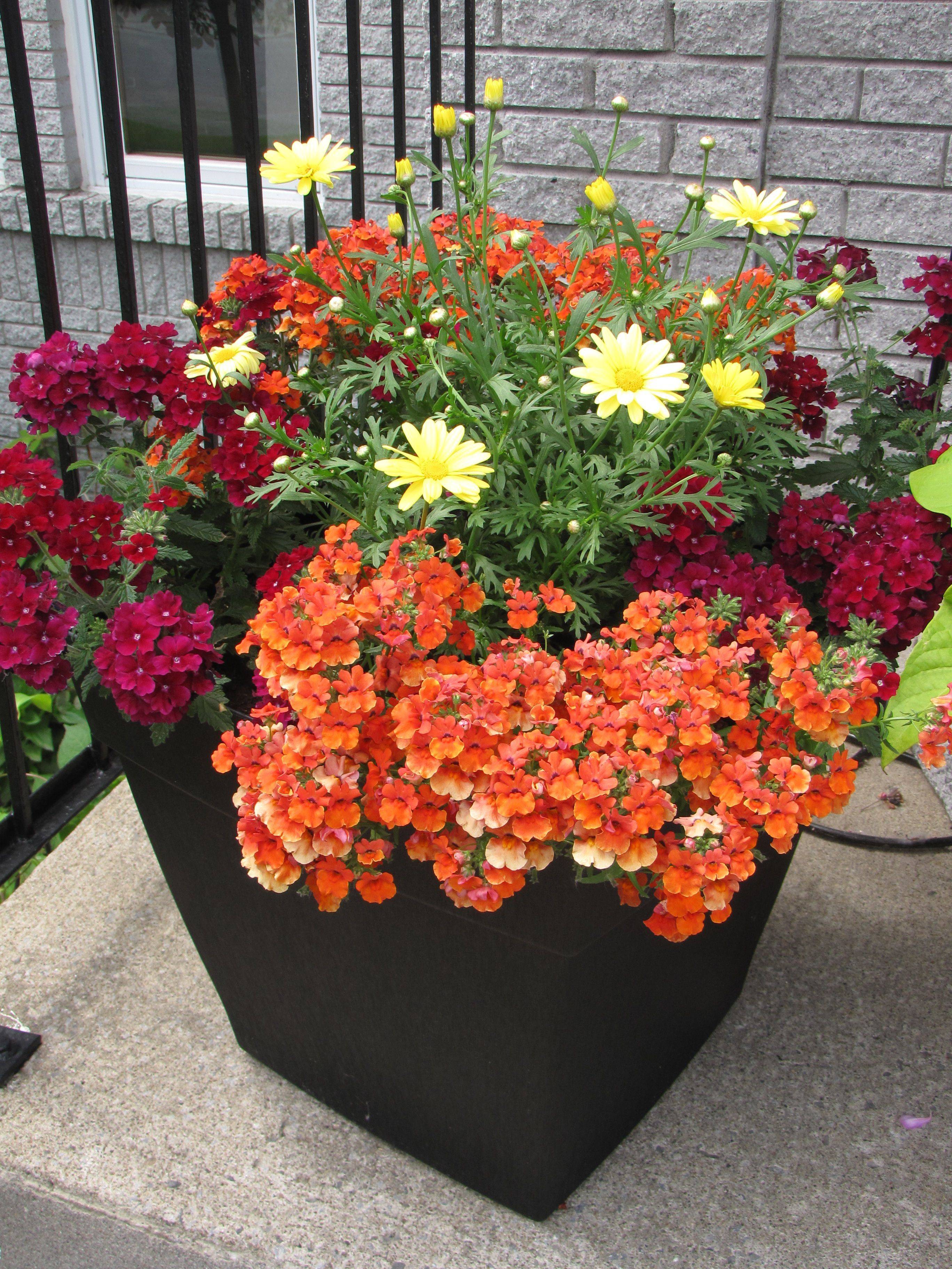 Container Garden Recipe Great Ideas