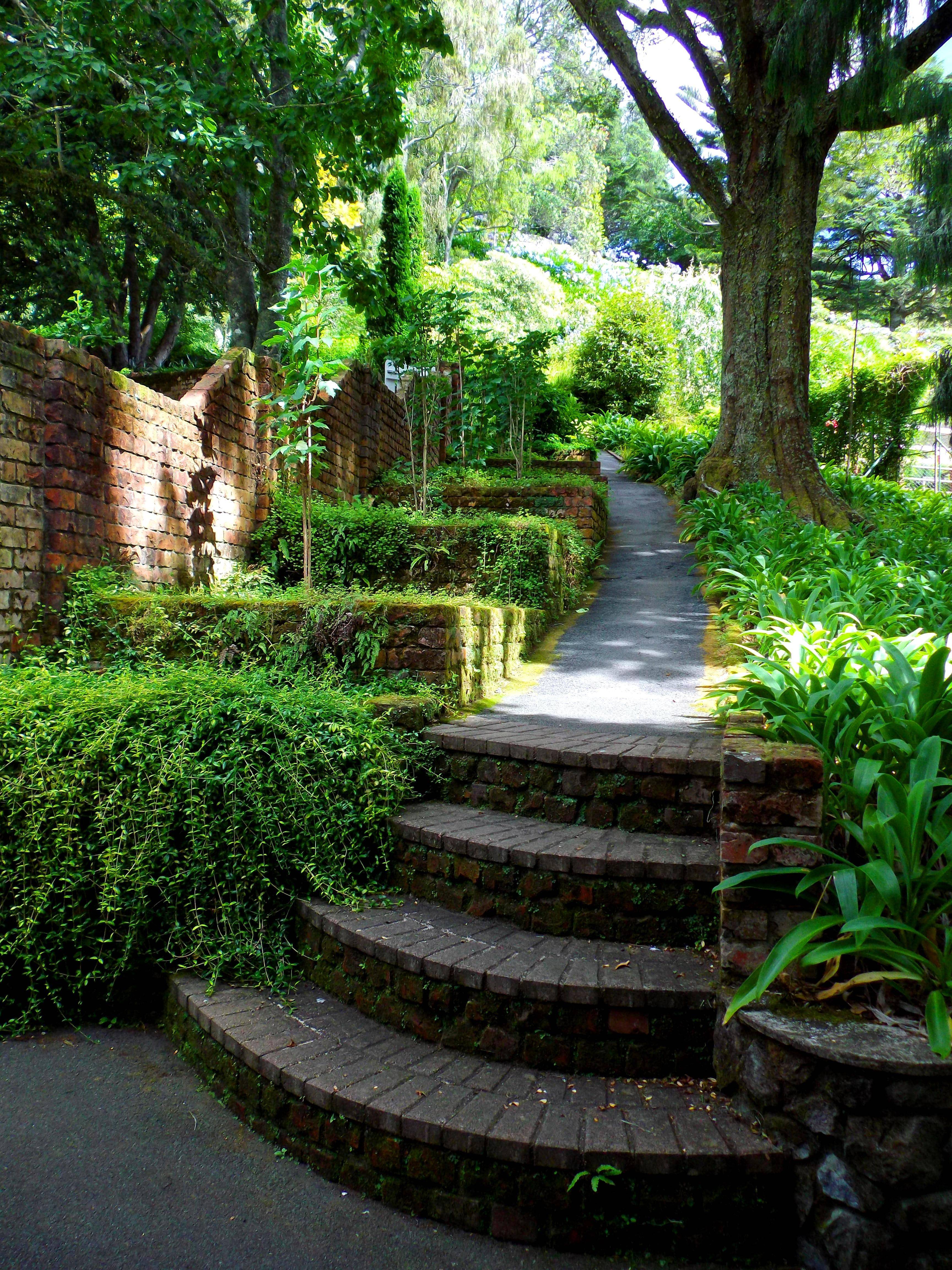Good Garden Ideas Native Home Garden Design