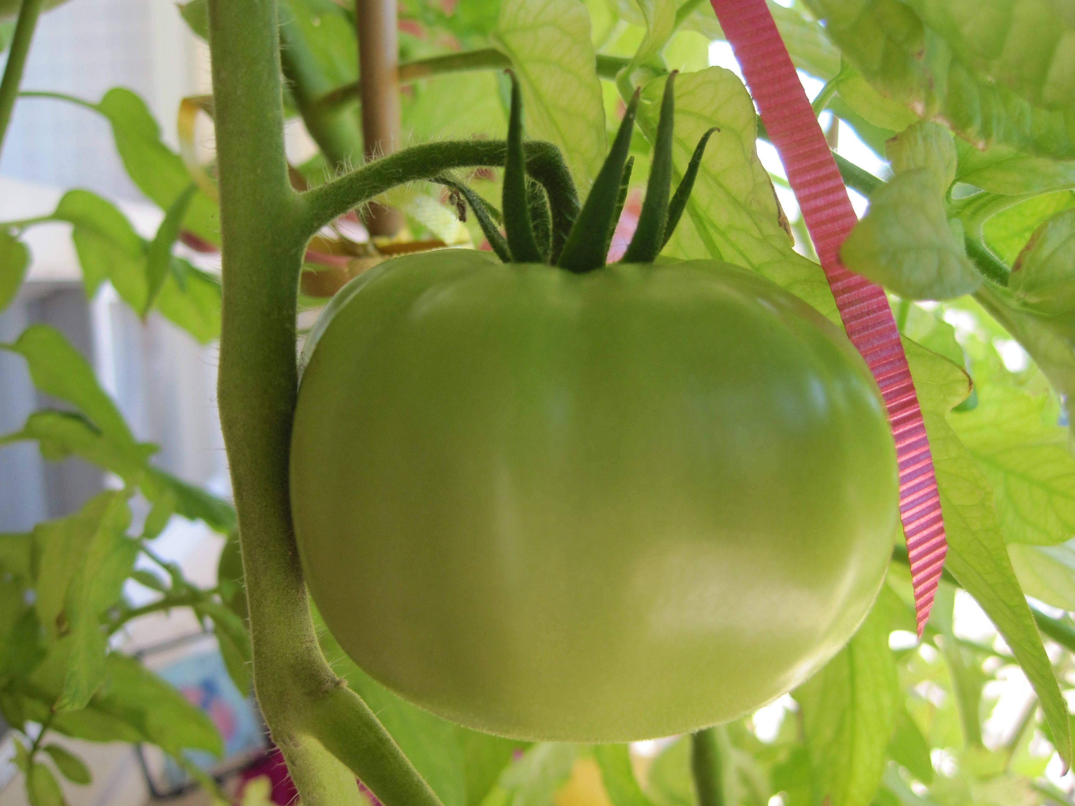 Stunning Container Vegetable Garden Design Ideas