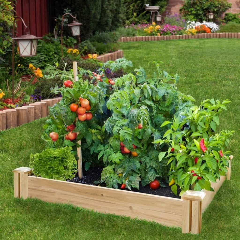 The Rusted Vegetable Garden