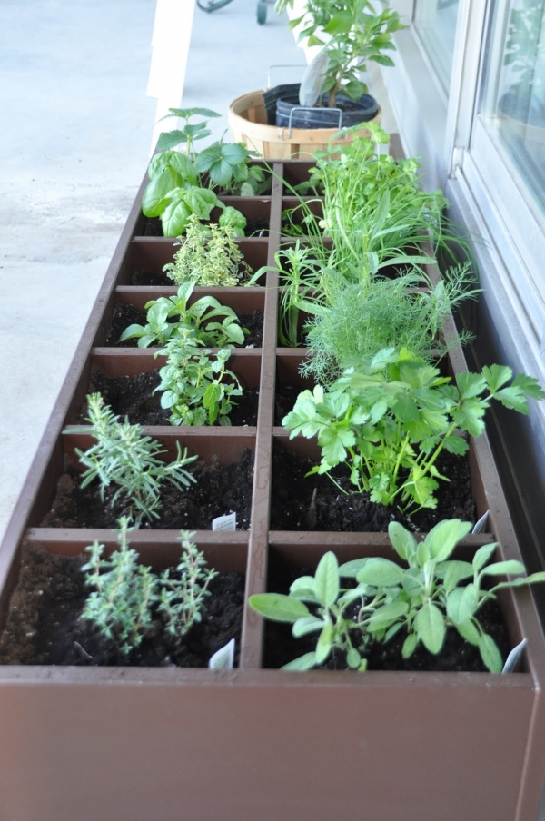 Amazing Herb Garden Ideas