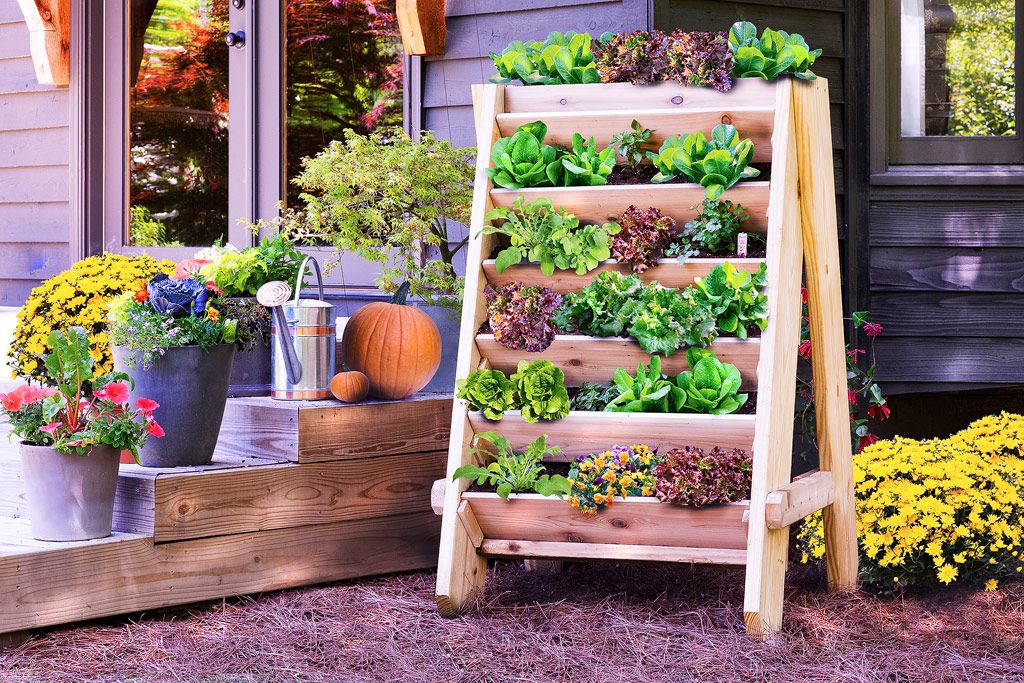 A Raised Bed Herb Garden Lifetime