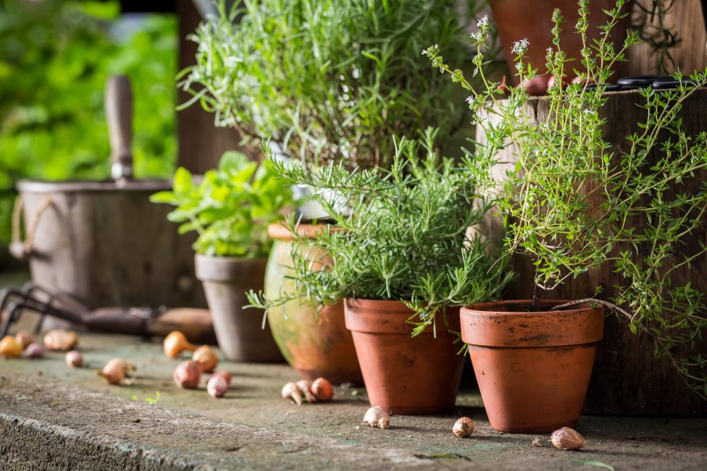 A Tiered Container Garden Southern Patio