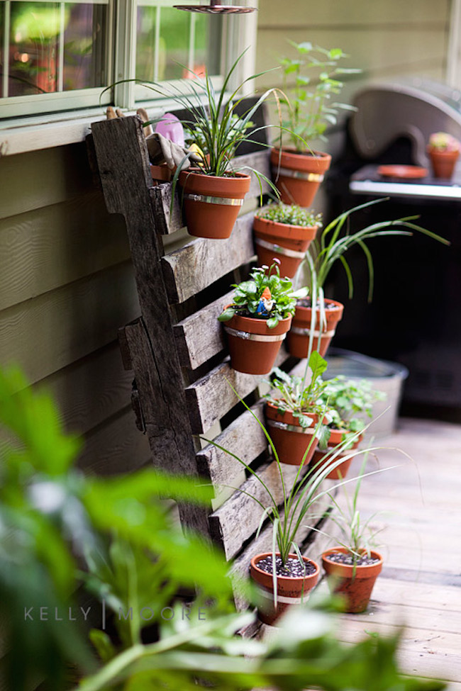 Raised Garden Beds