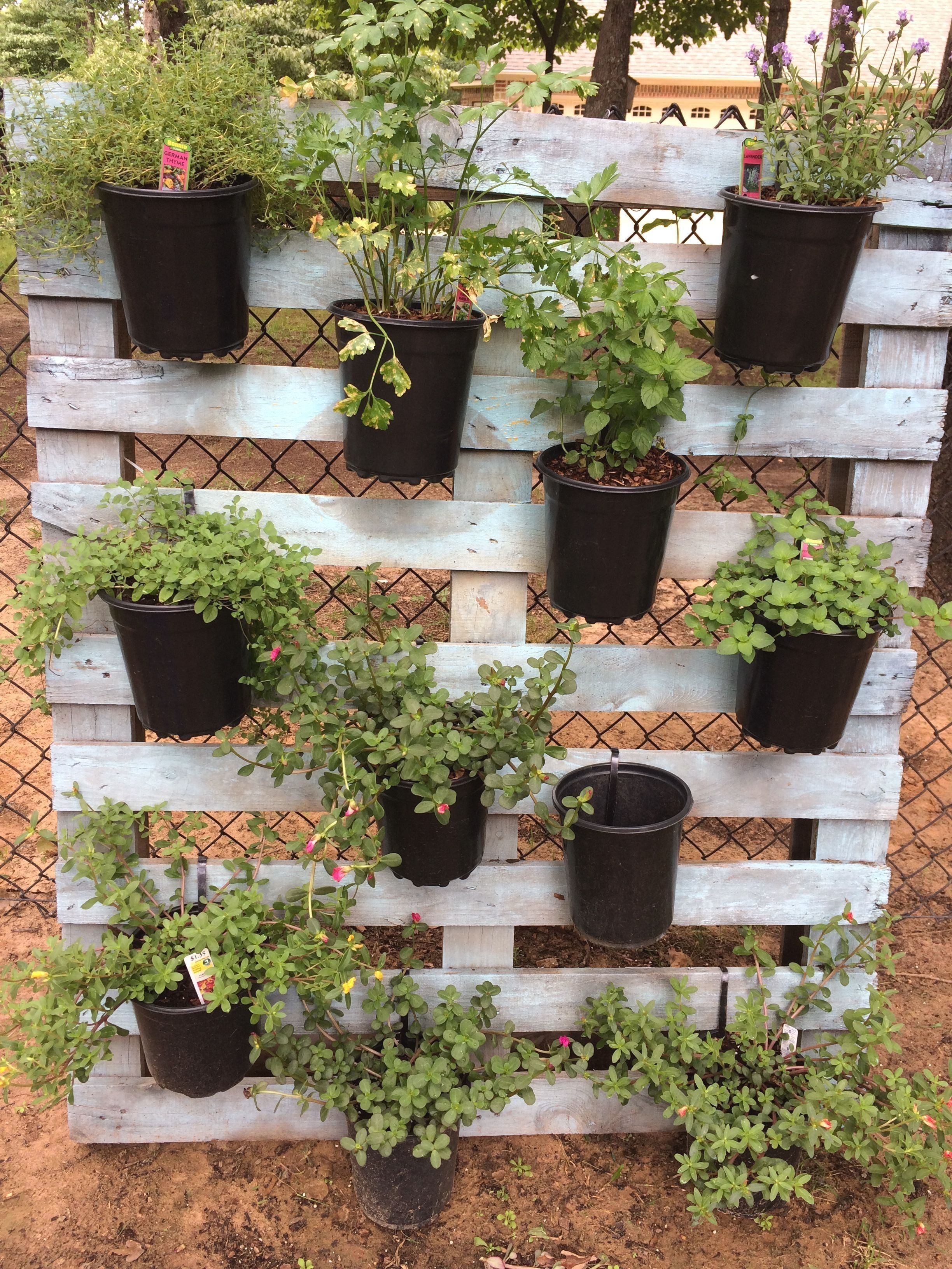 The Easiest Vertical Garden