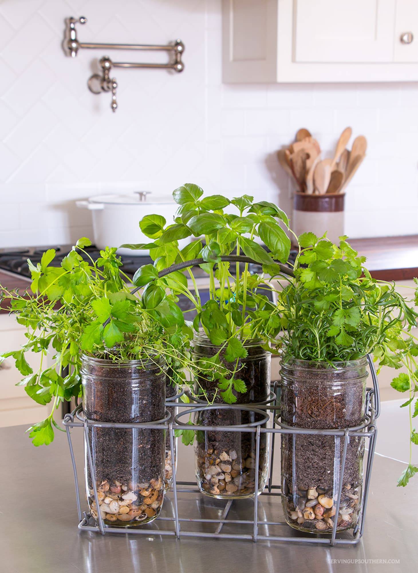 Kitchen Countertop Herb Garden Ideas