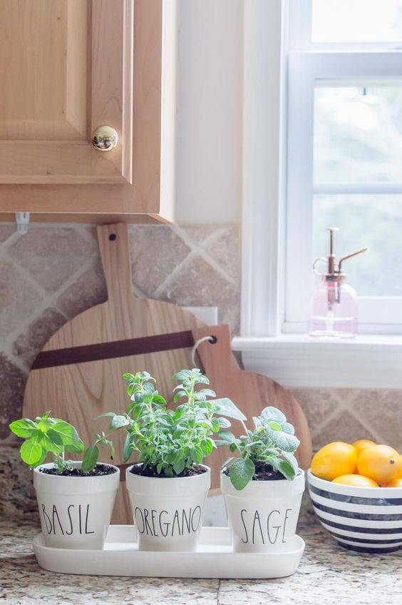 Kitchen Countertop Herb Garden Ideas