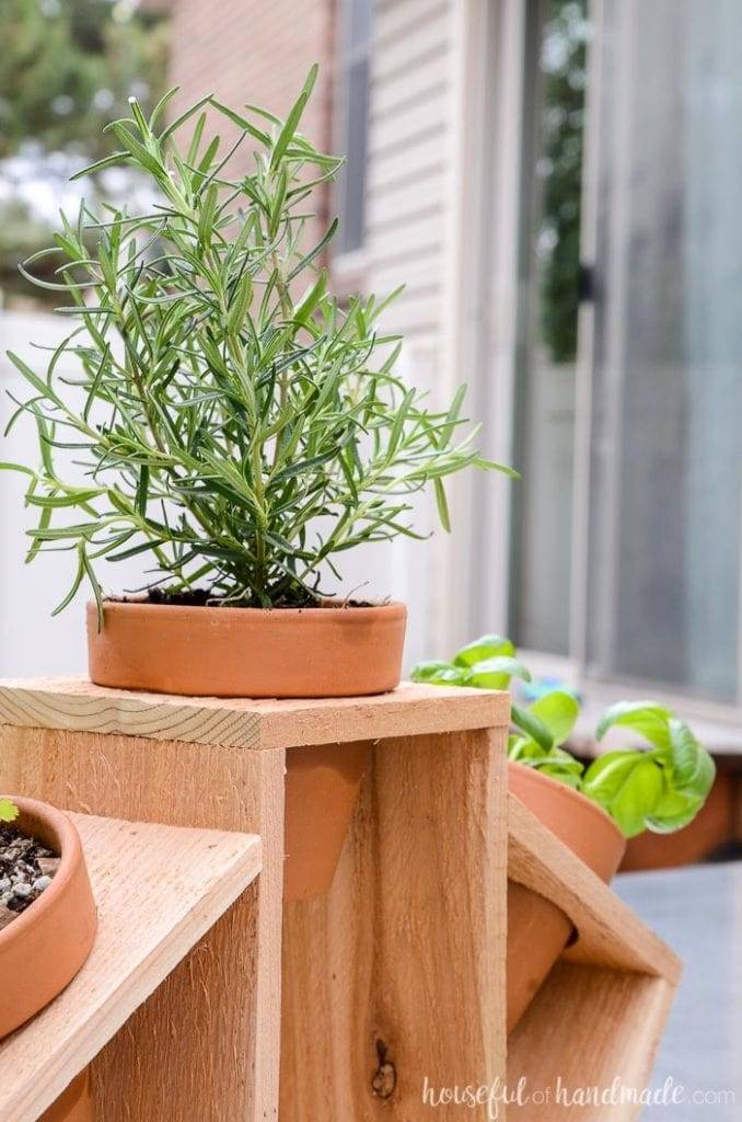Kitchen Countertop Herb Garden Ideas