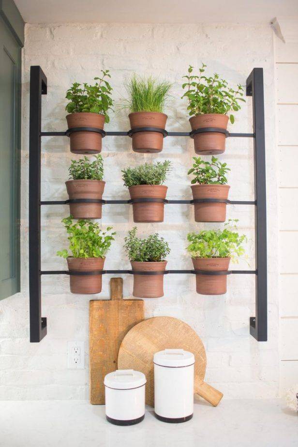 Kitchen Countertop Herb Garden Ideas