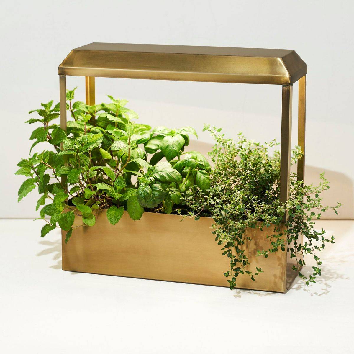 Kitchen Countertop Herb Garden Ideas