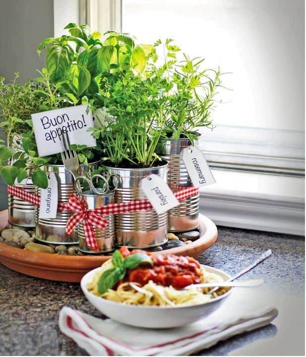 Kitchen Countertop Herb Garden Ideas