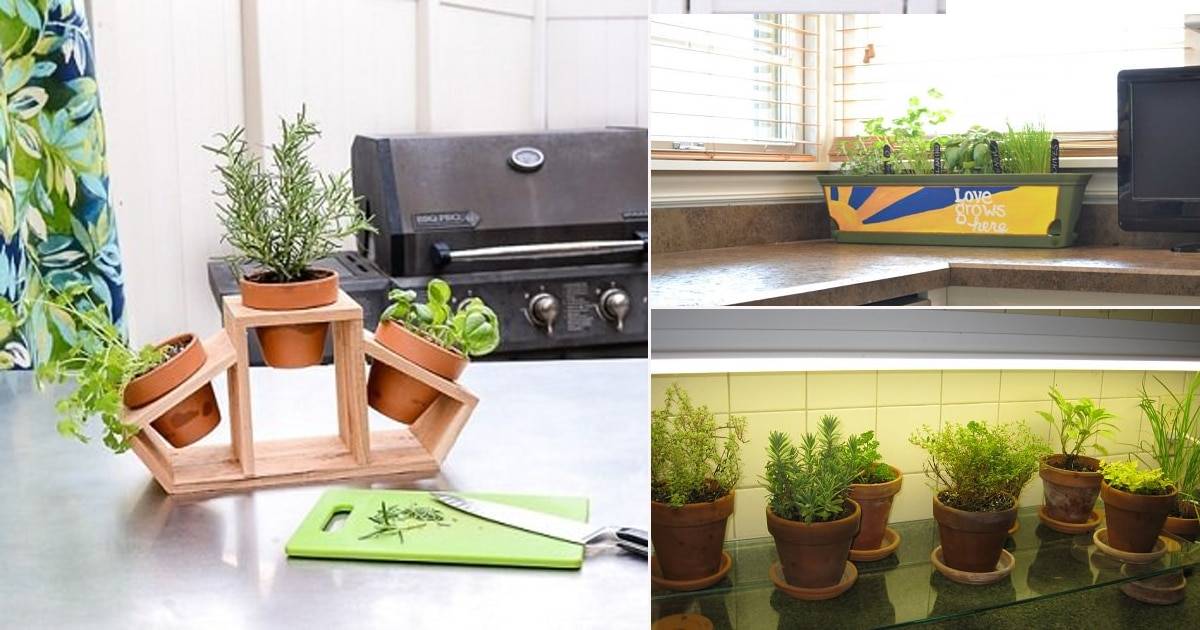 Aerogarden Goodful Harvest Slim Countertop Garden