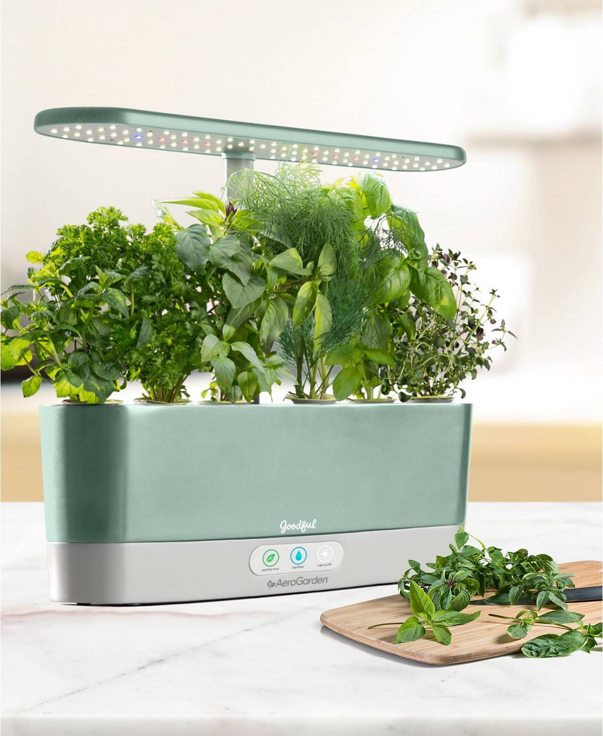 A Cottagestyle Countertop Herb Garden