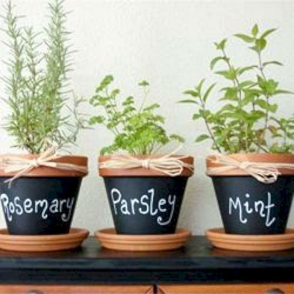 Creative Diy Indoor Herbs Garden Ideas