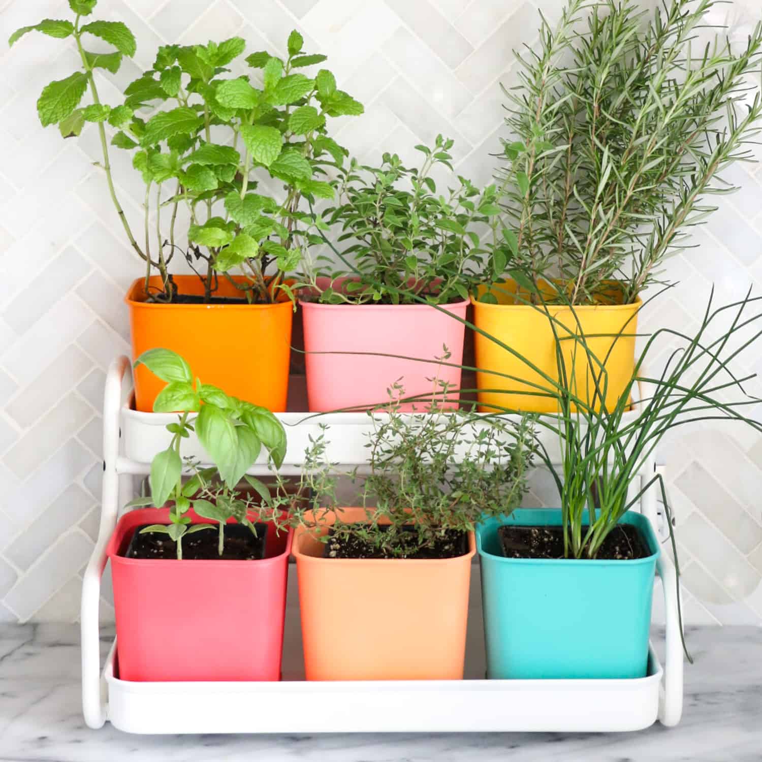 Creative Diy Indoor Herbs Garden Ideas