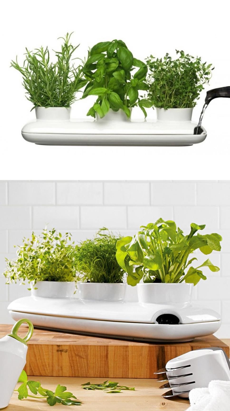 Indoor Herb Gardens