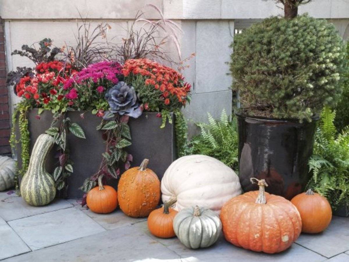 Gorgeous Fall Container Garden Ideas